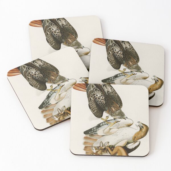 Item preview, Red-tailed Hawk by John James Audubon designed and sold by Natural History Prints.