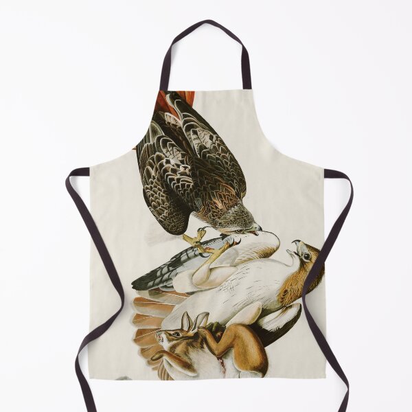 Item preview, Red-tailed Hawk by John James Audubon designed and sold by Natural History Prints.