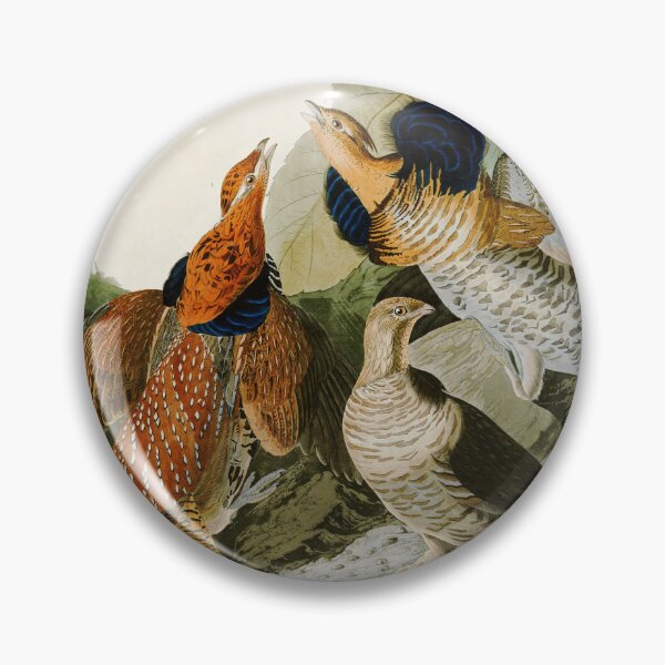 Item preview, Ruffed Grouse by John James Audubon designed and sold by Natural History Prints.