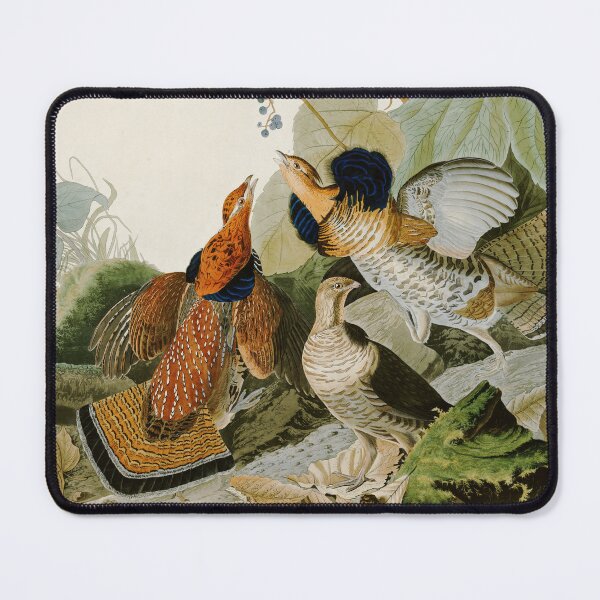 Item preview, Ruffed Grouse by John James Audubon designed and sold by Natural History Prints.