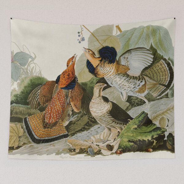 Item preview, Ruffed Grouse by John James Audubon designed and sold by Natural History Prints.