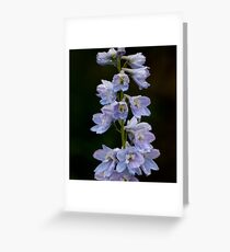 Faerie Fountain Greeting Card