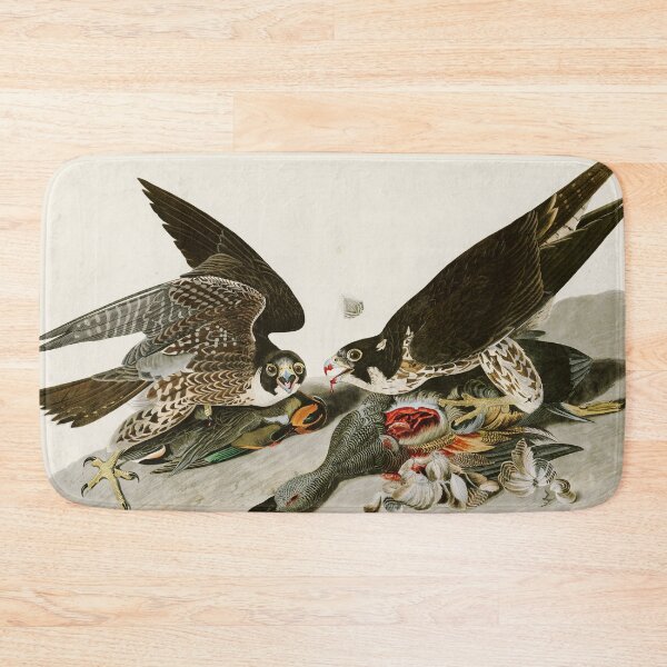Item preview, Great-footed Hawk by John James Audubon designed and sold by Natural History Prints.