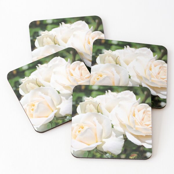 Item preview, pretty white rose flowers photography. designed and sold by naturematters.