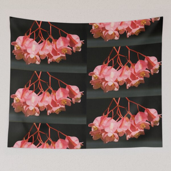 Item preview, Pink Begonia Angel Wing Flowers designed and sold by Beatriz  Cruz.