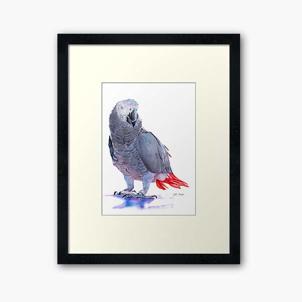 Item preview, African Grey Parrot designed and sold by Luke Tomlinson Artwork.