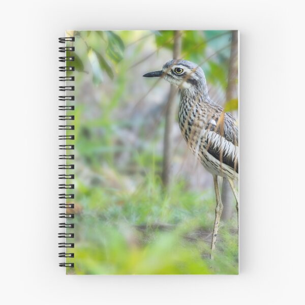 Item preview, A shy Bush Stone-curlew, Daintree, QLD designed and sold by Images by Chris de Blank.