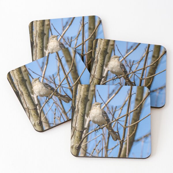 Item preview, A Northern Mockingbird resting on a branch in the forest designed and sold by TP-Designs.