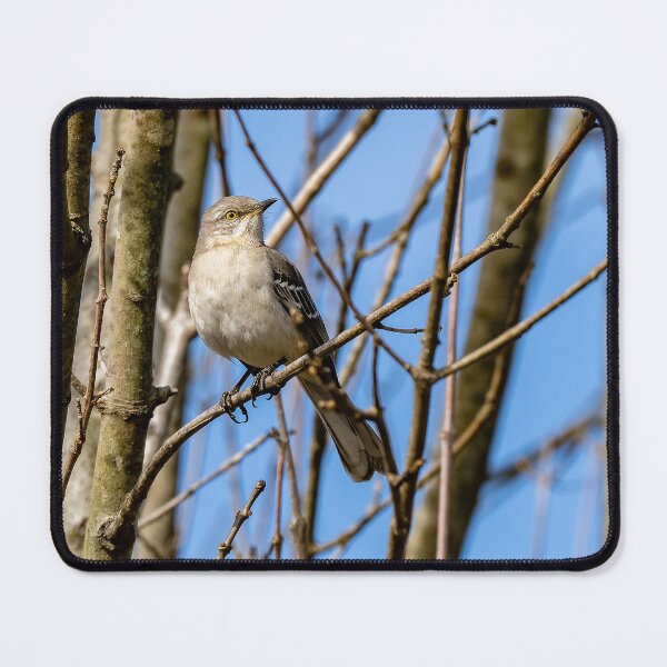 Item preview, A Northern Mockingbird resting on a branch in the forest designed and sold by TP-Designs.
