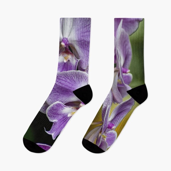 Aperçu de l'œuvre Six orchidées violettes exquises créée et vendue par TP-Designs.
