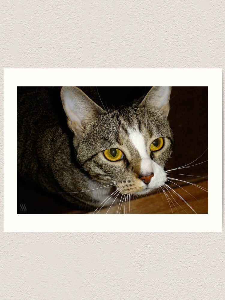 Alternate view of James Golden Eyes Art Print