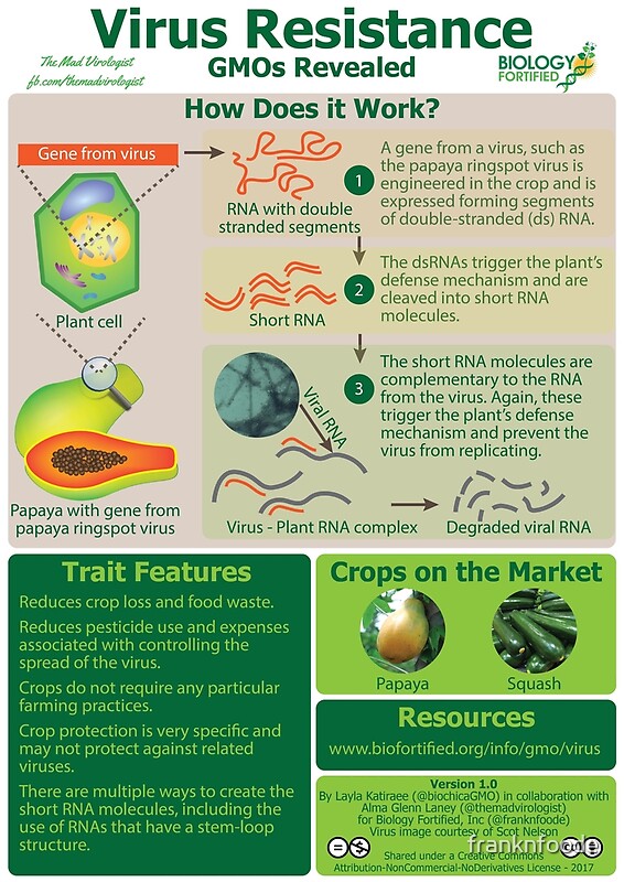 "GMOs Revealed - Virus Resistance V1.0" By Franknfoode | Redbubble