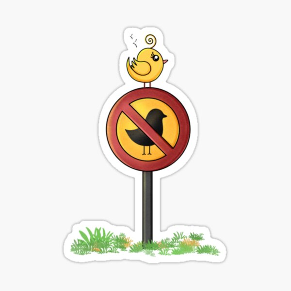 "No Birds Allowed" Sticker for Sale by GumBak Redbubble