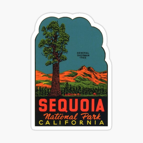 Sequoia National Park Vintage Travel Decal Sticker