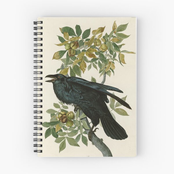 Item preview, Raven - John James Audubon Birds of America designed and sold by Natural History Prints.
