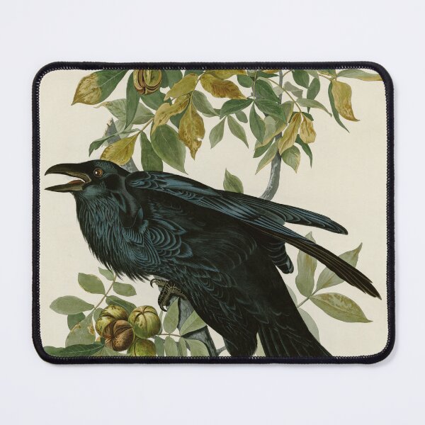 Item preview, Raven - John James Audubon Birds of America designed and sold by Natural History Prints.