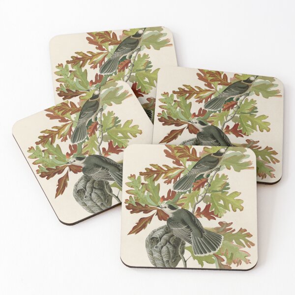 Item preview, Canada Jay - John James Audubon Birds of America designed and sold by Natural History Prints.