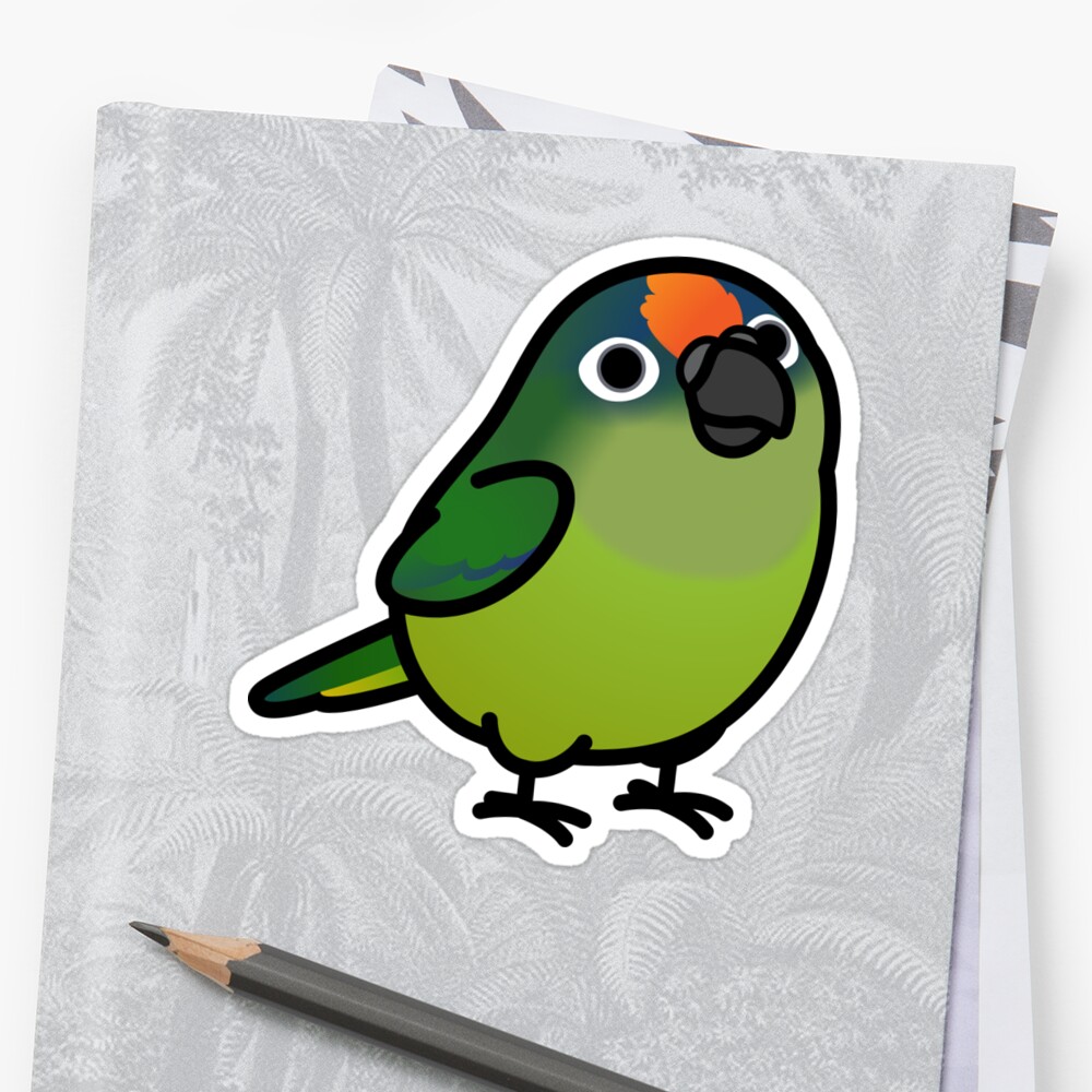 "Peach-fronted Conure" Stickers by birdhism | Redbubble