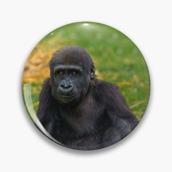 Item preview, Gorilla Baby Sitting In The Grass designed and sold by rawshutterbug.