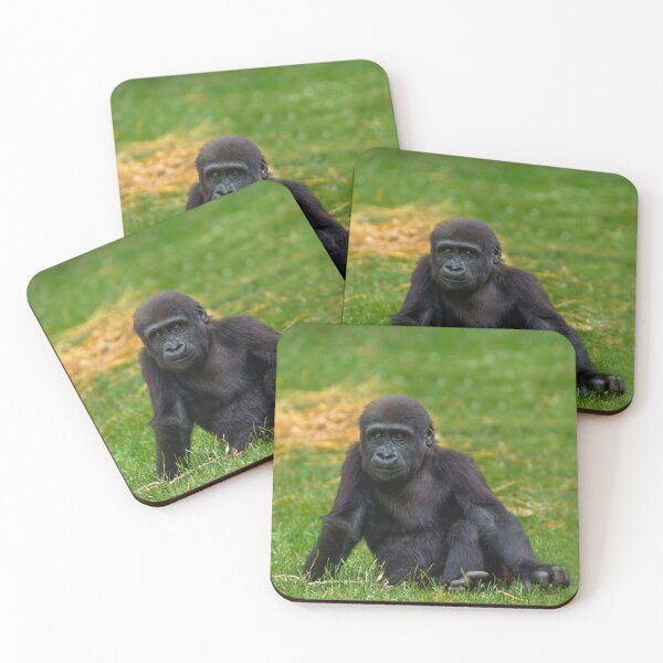 Item preview, Gorilla Baby Sitting In The Grass designed and sold by rawshutterbug.