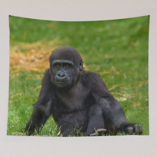 Item preview, Gorilla Baby Sitting In The Grass designed and sold by rawshutterbug.