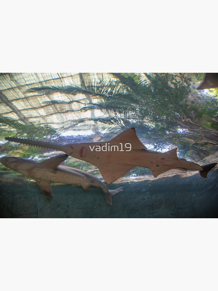 "USA. Texas. Dallas. Dallas World Aquarium. Sea Monsters." Sticker for