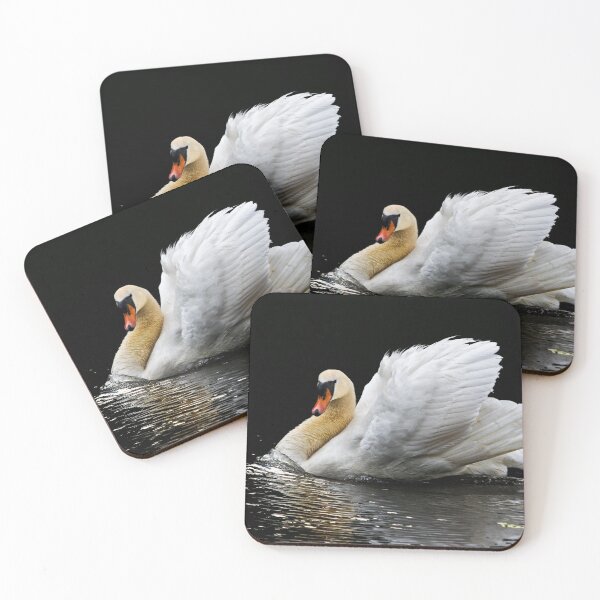 Item preview, Mute Swan reflection designed and sold by Violaman.