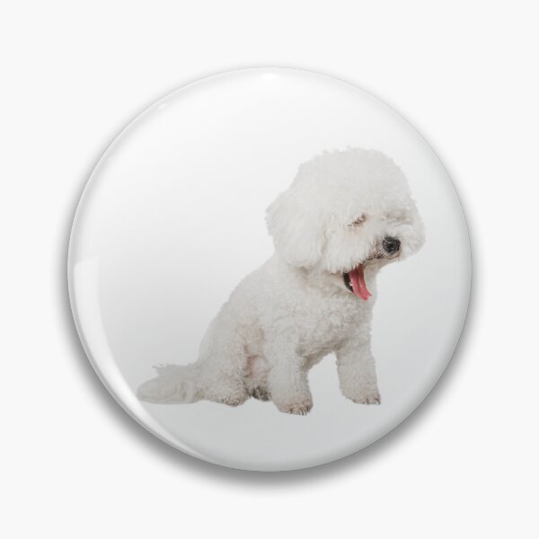 Item preview, shichon dog funny designed and sold by RachodShop.