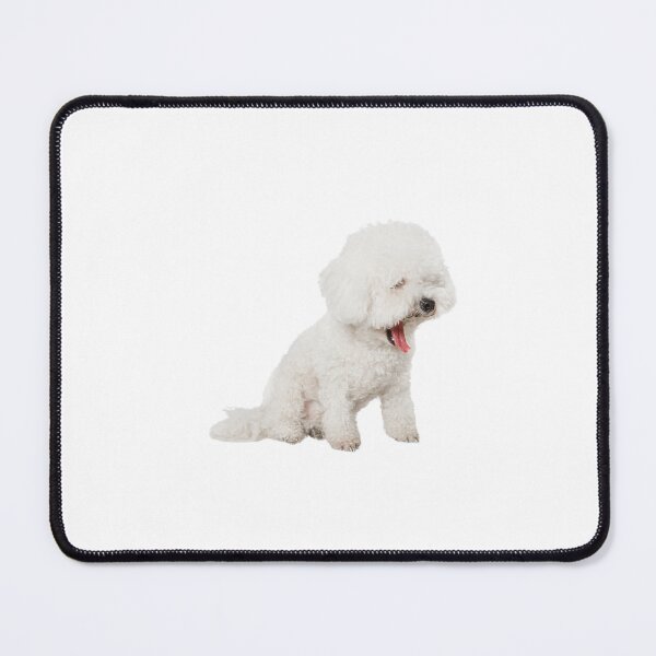 Item preview, shichon dog funny designed and sold by RachodShop.