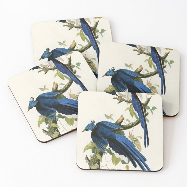 Item preview, Columbia Jay - John James Audubon Birds of America designed and sold by Natural History Prints.