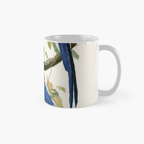 Item preview, Columbia Jay - John James Audubon Birds of America designed and sold by Natural History Prints.