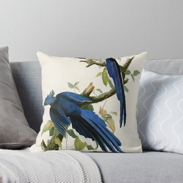 Item preview, Columbia Jay - John James Audubon Birds of America designed and sold by Natural History Prints.