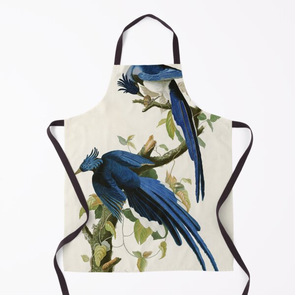 Item preview, Columbia Jay - John James Audubon Birds of America designed and sold by Natural History Prints.