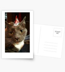 Party Animal Postcards
