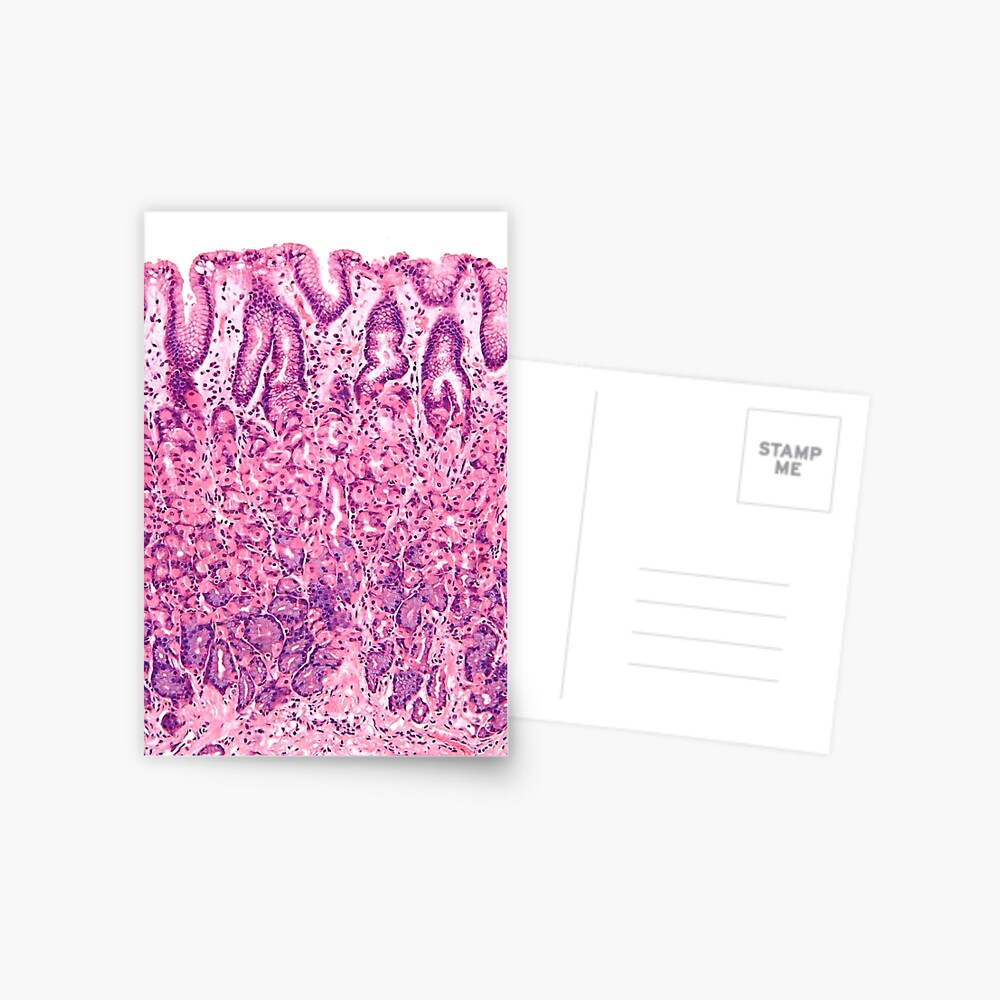 Aperçu de l'œuvre Carte postale créée et vendue par deltoid.