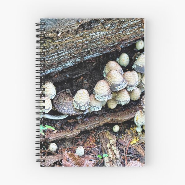 Artikelvorschau, Die magische Pilzfamilie, die irgendwo im Wald lebt entworfen und verkauft von Lanis Rossi.