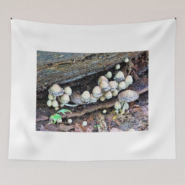 Item preview, The Magical Mushroom Family That Lives Somewhere In Woods  designed and sold by Lanis Rossi.