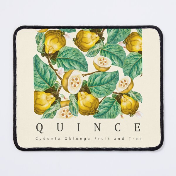 Item preview, QUINCE designed and sold by Burcu Korkmazyurek.
