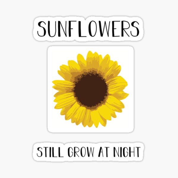"Sunflowers Still Grow at Night Rex Orange County " Sticker for Sale by