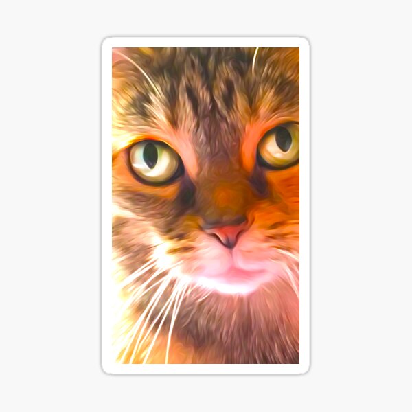 Looking Cat Sticker