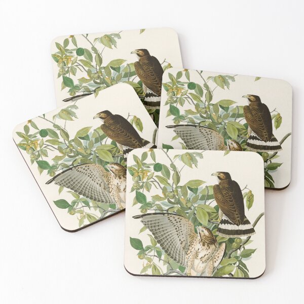 Item preview, Broad Winged Hawk - John James Audubon Birds of America designed and sold by Natural History Prints.