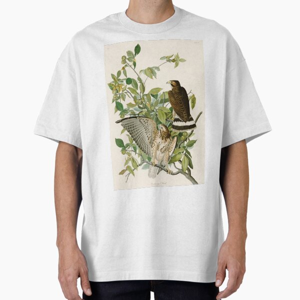 Item preview, Broad Winged Hawk - John James Audubon Birds of America designed and sold by Natural History Prints.
