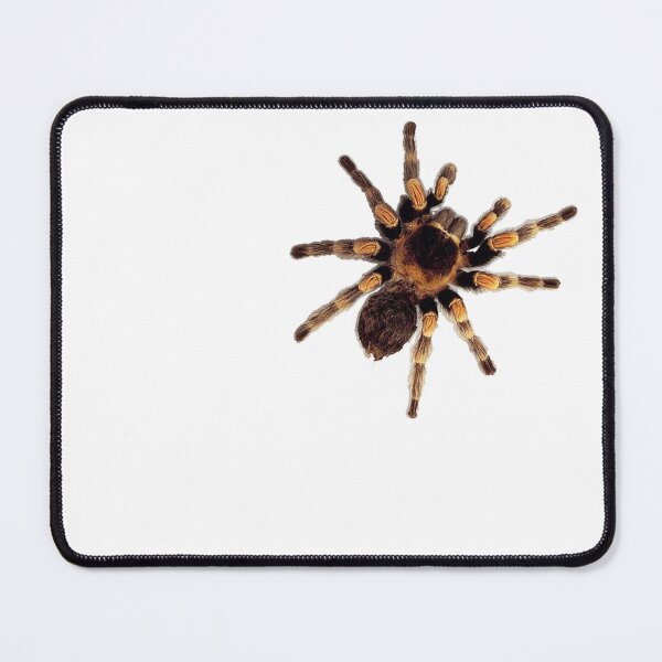 Item preview, Funny Climbing Tarantula Big Spider Lover designed and sold by UniQueensShop.