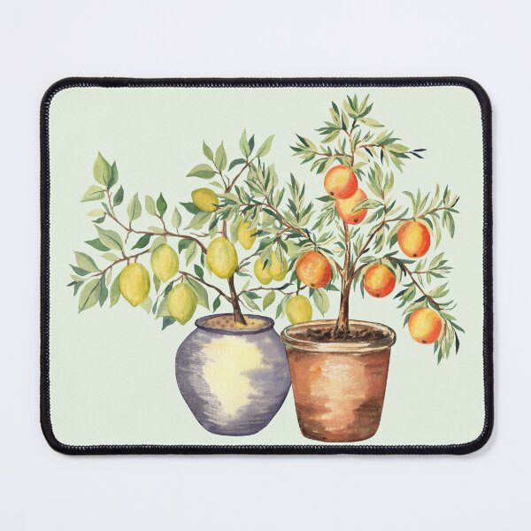 Item preview, Lemon and Orange Trees in Pots designed and sold by Flowersforbear.