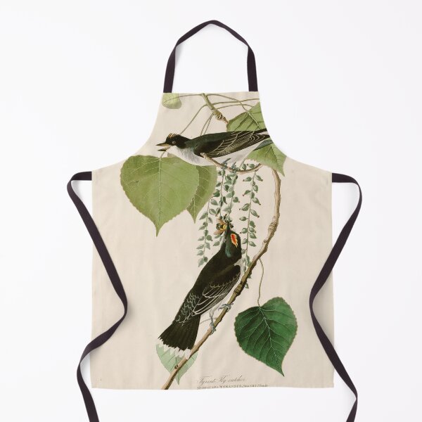 Item preview, Tyrant Flycatcher - John James Audubon Birds of America designed and sold by Natural History Prints.