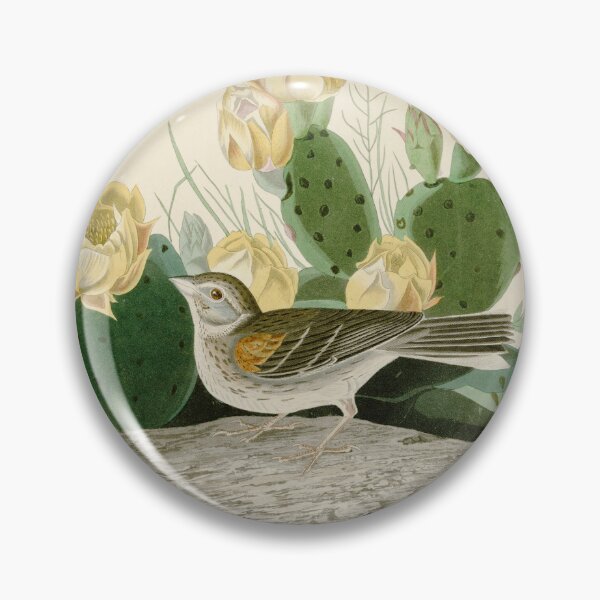 Item preview, Grass Finch or Bay-winged Bunting by John James Audubon designed and sold by Natural History Prints.