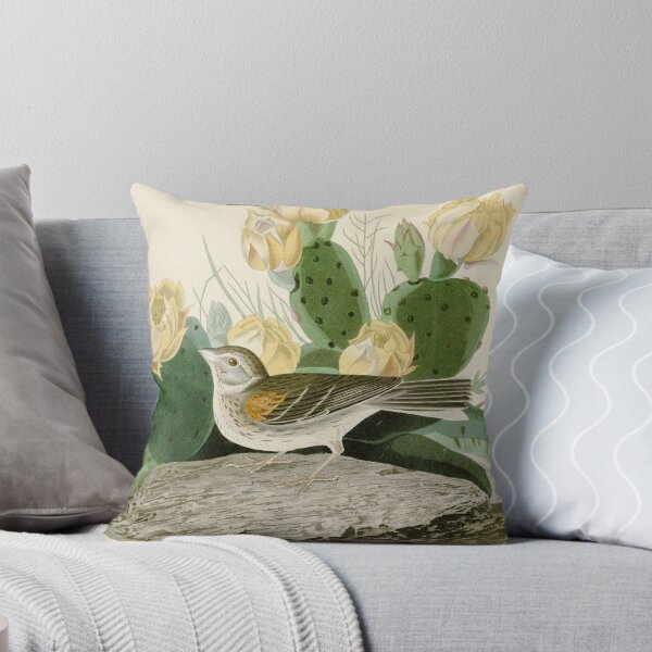 Item preview, Grass Finch or Bay-winged Bunting by John James Audubon designed and sold by Natural History Prints.