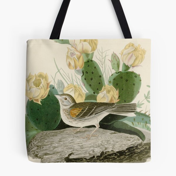 Item preview, Grass Finch or Bay-winged Bunting by John James Audubon designed and sold by Natural History Prints.