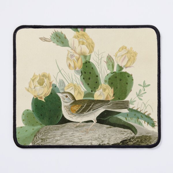 Item preview, Grass Finch or Bay-winged Bunting by John James Audubon designed and sold by Natural History Prints.