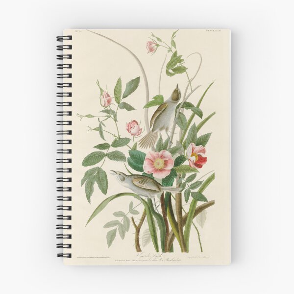 Item preview, Seaside Finch - John James Audubon Birds of America designed and sold by Natural History Prints.